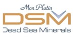 dsm logo