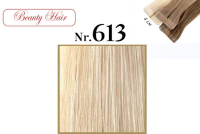 613 l