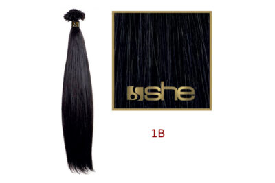 She 1b