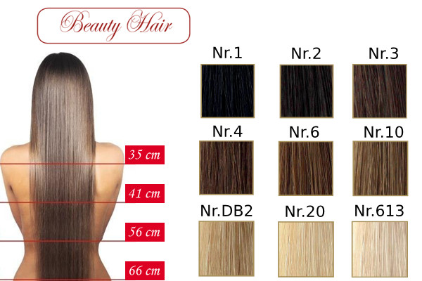 hair colour chart